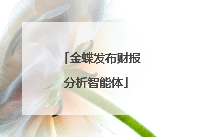 金蝶发布财报分析智能体