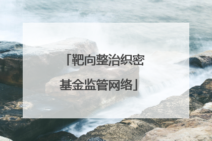 靶向整治织密基金监管网络