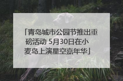青岛城市公园节推出重磅活动 5月30日在小麦岛上演星空嘉年华