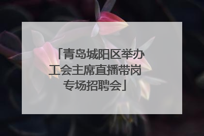 青岛城阳区举办工会主席直播带岗专场招聘会