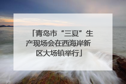 青岛市“三夏”生产现场会在西海岸新区大场镇举行