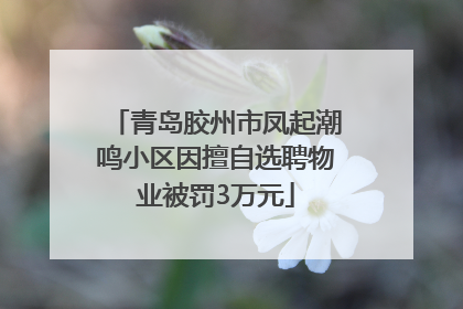 青岛胶州市凤起潮鸣小区因擅自选聘物业被罚3万元