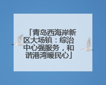 青岛西海岸新区大场镇：综治中心强服务，和谐港湾暖民心