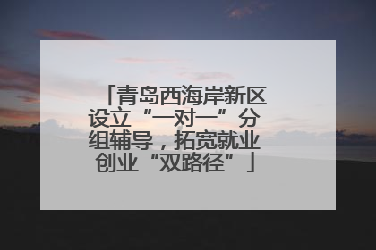 青岛西海岸新区设立“一对一”分组辅导，拓宽就业创业“双路径”