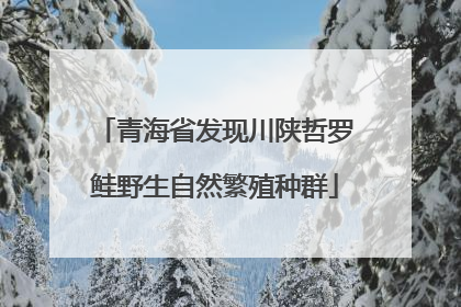 青海省发现川陕哲罗鲑野生自然繁殖种群