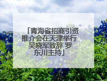 青海省招商引资推介会在天津举行 吴晓军致辞 罗东川主持