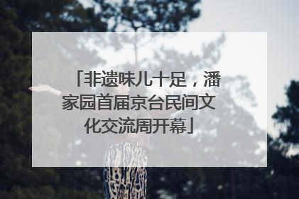 非遗味儿十足，潘家园首届京台民间文化交流周开幕