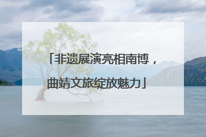 非遗展演亮相南博，曲靖文旅绽放魅力