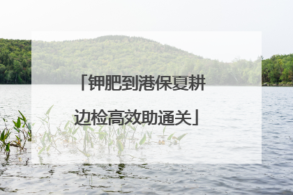 钾肥到港保夏耕 边检高效助通关