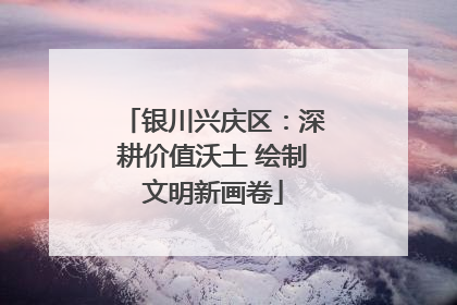 银川兴庆区：深耕价值沃土 绘制文明新画卷