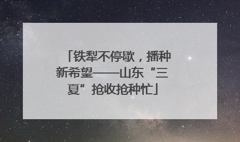 铁犁不停歇，播种新希望——山东“三夏”抢收抢种忙