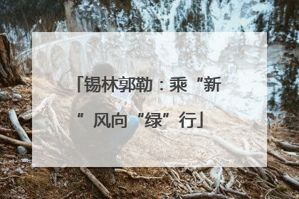 锡林郭勒：乘“新”风向“绿”行