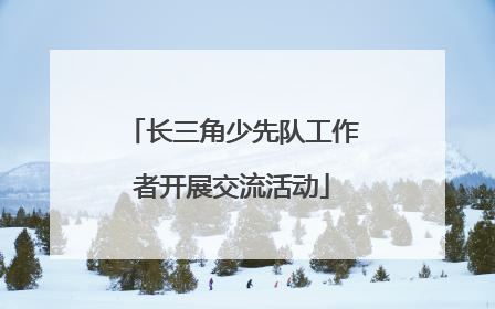 长三角少先队工作者开展交流活动