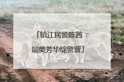 镇江民警陈茜：最美芳华绽警营