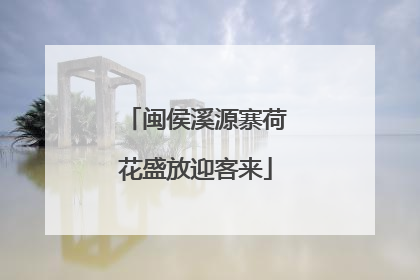 闽侯溪源寨荷花盛放迎客来