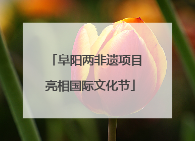 阜阳两非遗项目亮相国际文化节