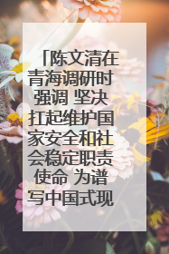 陈文清在青海调研时强调 坚决扛起维护国家安全和社会稳定职责使命 为谱写中国式现代化青海篇章贡献政法力量