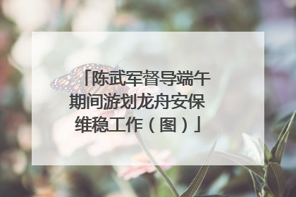 陈武军督导端午期间游划龙舟安保维稳工作（图）