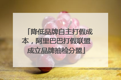 降低品牌自主打假成本，阿里巴巴打假联盟成立品牌抽检分盟