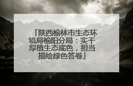 陕西榆林市生态环境局榆阳分局：实干厚植生态底色，担当描绘绿色答卷