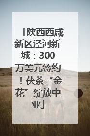 陕西西咸新区泾河新城：300万美元签约！茯茶“金花”绽放中亚