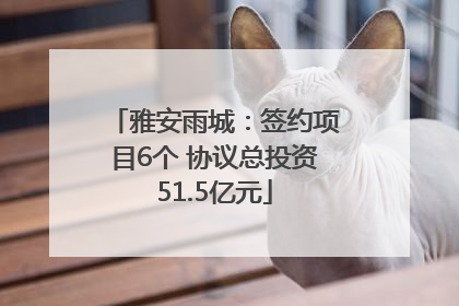 雅安雨城：签约项目6个 协议总投资51.5亿元