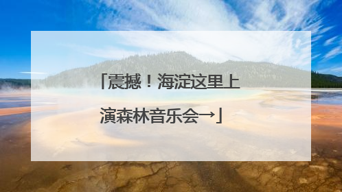 震撼！海淀这里上演森林音乐会→