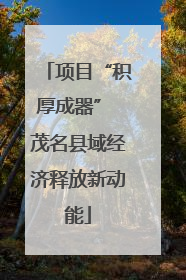 项目“积厚成器” 茂名县域经济释放新动能