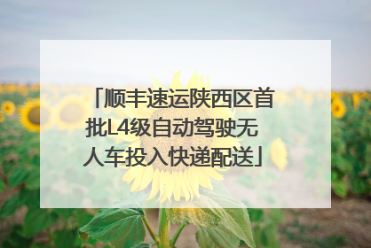 顺丰速运陕西区首批L4级自动驾驶无人车投入快递配送