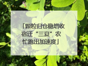 颗粒归仓稳增收 宿迁“三夏”农忙跑出加速度