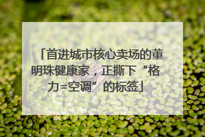 首进城市核心卖场的董明珠健康家，正撕下“格力=空调”的标签