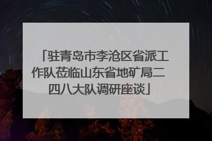 驻青岛市李沧区省派工作队莅临山东省地矿局二四八大队调研座谈