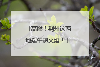 高燃！荆州这两地端午超火爆！
