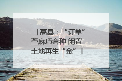 高县：“订单”苎麻巧套种 闲置土地再生“金”