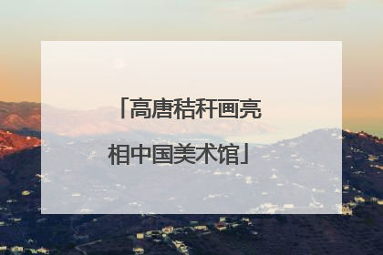 高唐秸秆画亮相中国美术馆