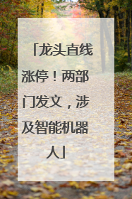 龙头直线涨停！两部门发文，涉及智能机器人