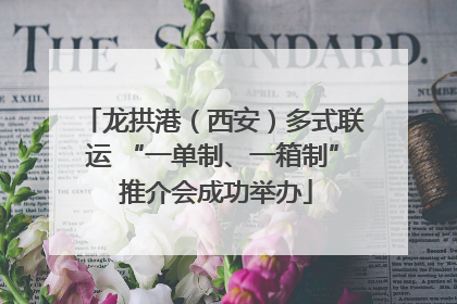 龙拱港（西安）多式联运 “一单制、一箱制” 推介会成功举办