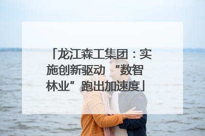 龙江森工集团：实施创新驱动 “数智林业”跑出加速度