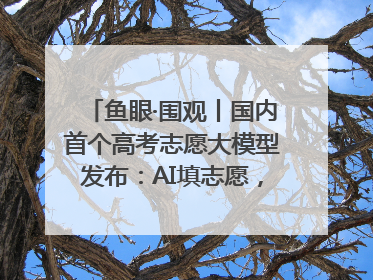 鱼眼·围观丨国内首个高考志愿大模型发布：AI填志愿，靠不靠谱？