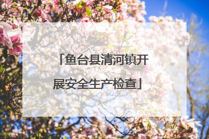 鱼台县清河镇开展安全生产检查