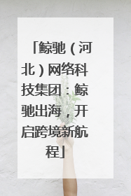 鲸驰（河北）网络科技集团：鲸驰出海，开启跨境新航程