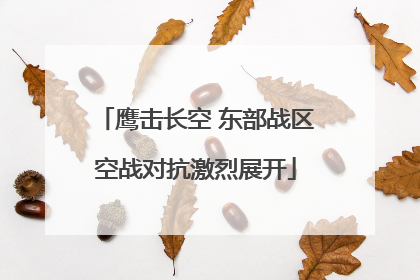 鹰击长空 东部战区空战对抗激烈展开