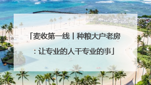 麦收第一线丨种粮大户老房：让专业的人干专业的事