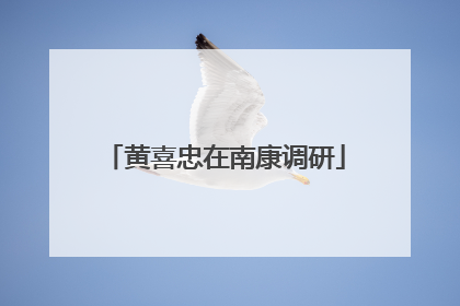 黄喜忠在南康调研