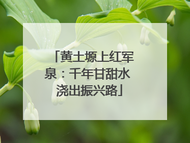 黄土塬上红军泉：千年甘甜水 浇出振兴路