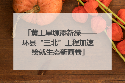 黄土旱塬添新绿——环县“三北”工程加速绘就生态新画卷