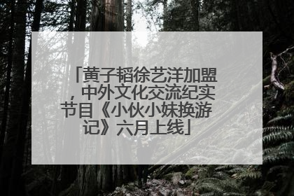 黄子韬徐艺洋加盟，中外文化交流纪实节目《小伙小妹换游记》六月上线