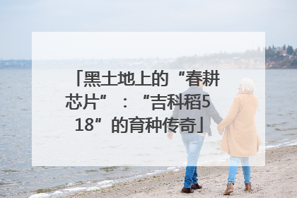 黑土地上的“春耕芯片”：“吉科稻518”的育种传奇