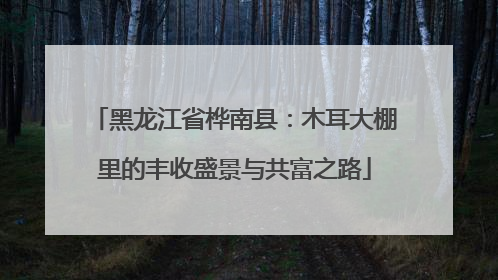 黑龙江省桦南县：木耳大棚里的丰收盛景与共富之路