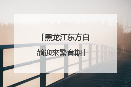 黑龙江东方白鹳迎来繁育期